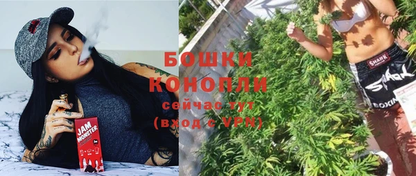 ешки Алзамай