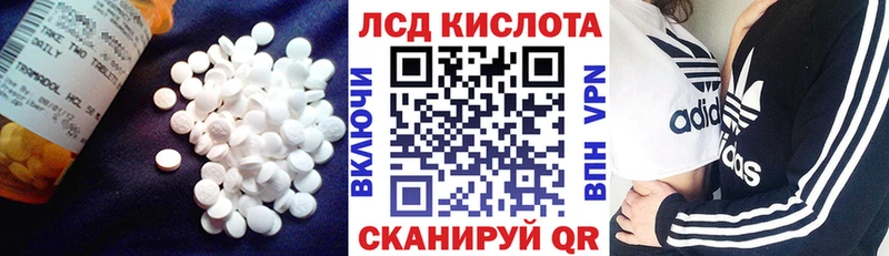 Лсд 25 экстази ecstasy  продажа наркотиков  Белгород 
