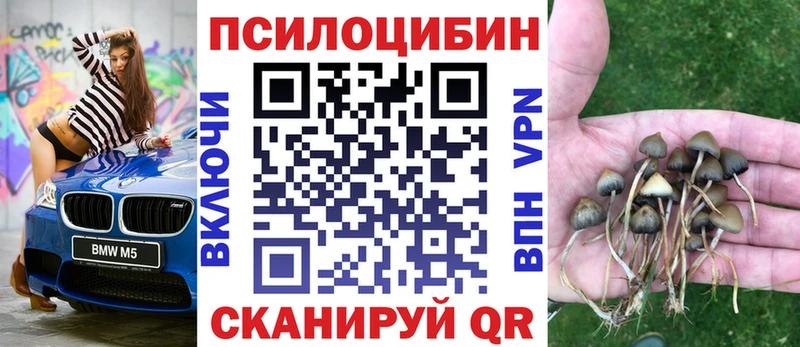нарко площадка Telegram  Белгород  Псилоцибиновые грибы Psilocybine cubensis 